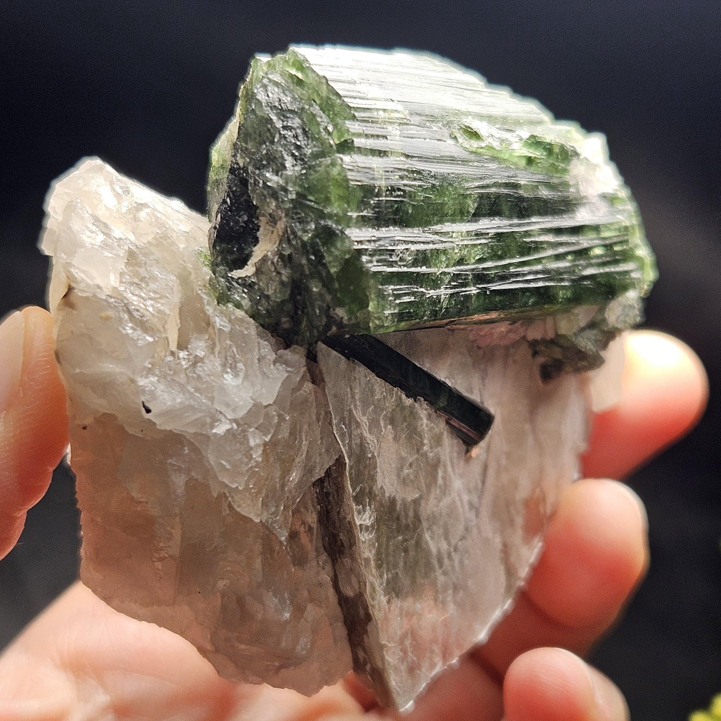 HUGE Green Tourmaline in Quartz Crystal 222.56g, Brazilian Quartz & Green Tourmaline Specimen, Tourmaline Crystal with Lepidolite