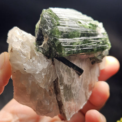 HUGE Green Tourmaline in Quartz Crystal 222.56g, Brazilian Quartz & Green Tourmaline Specimen, Tourmaline Crystal with Lepidolite
