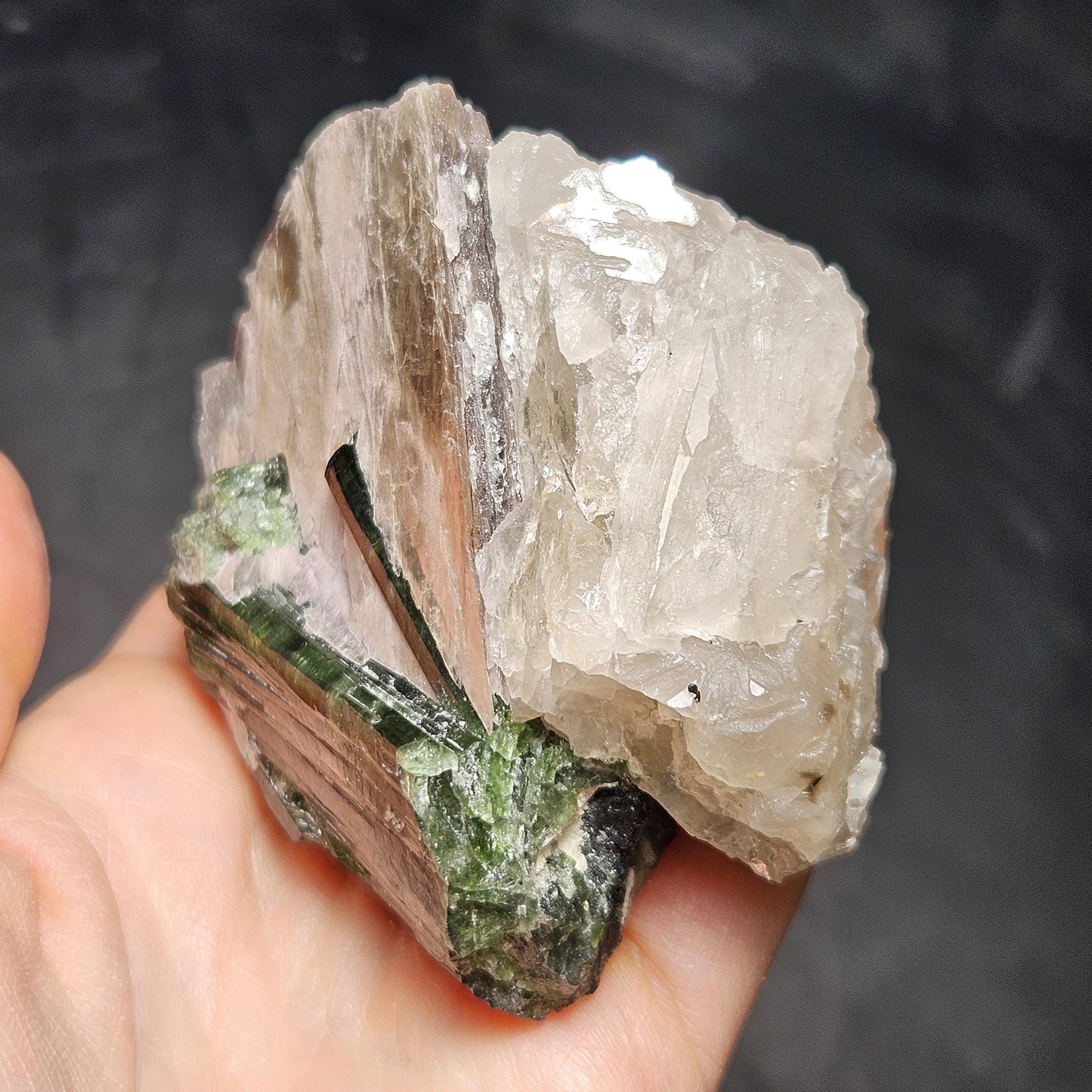 HUGE Green Tourmaline in Quartz Crystal 222.56g, Brazilian Quartz & Green Tourmaline Specimen, Tourmaline Crystal with Lepidolite