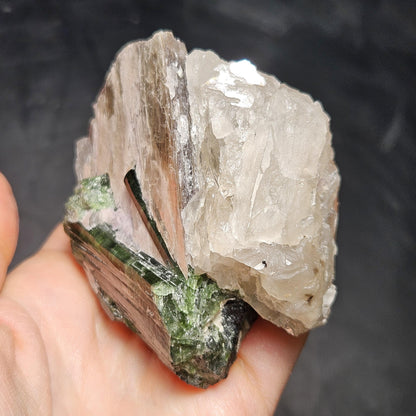 HUGE Green Tourmaline in Quartz Crystal 222.56g, Brazilian Quartz & Green Tourmaline Specimen, Tourmaline Crystal with Lepidolite