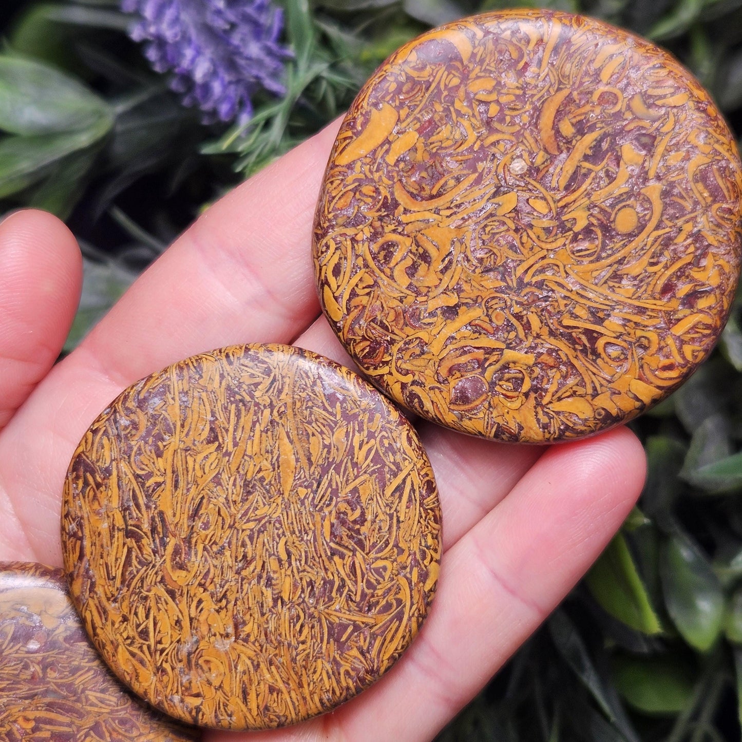 Calligraphy Stone Specimen (1.75"+), Miriam Jasper Palm Stone