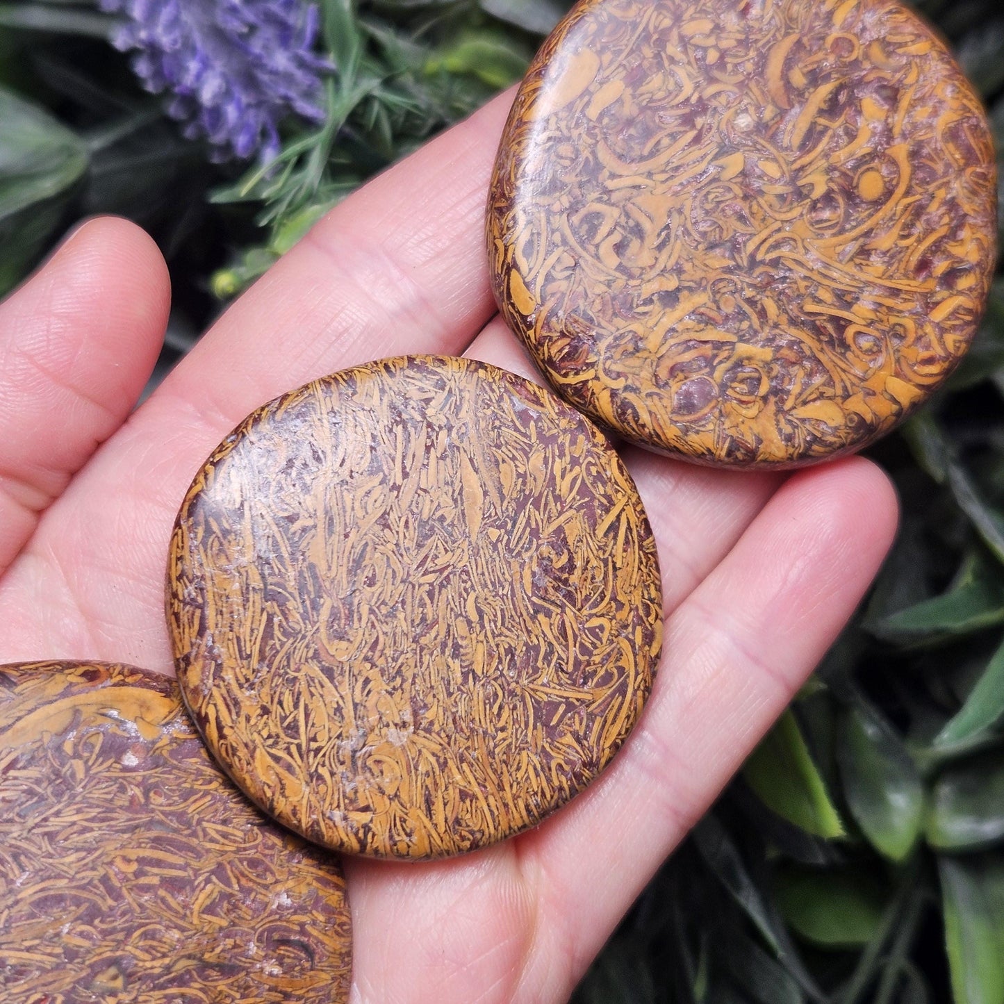 Calligraphy Stone Specimen (1.75"+), Miriam Jasper Palm Stone