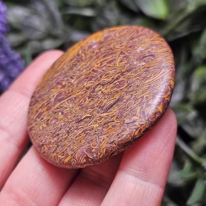 Calligraphy Stone Specimen (1.75"+), Miriam Jasper Palm Stone
