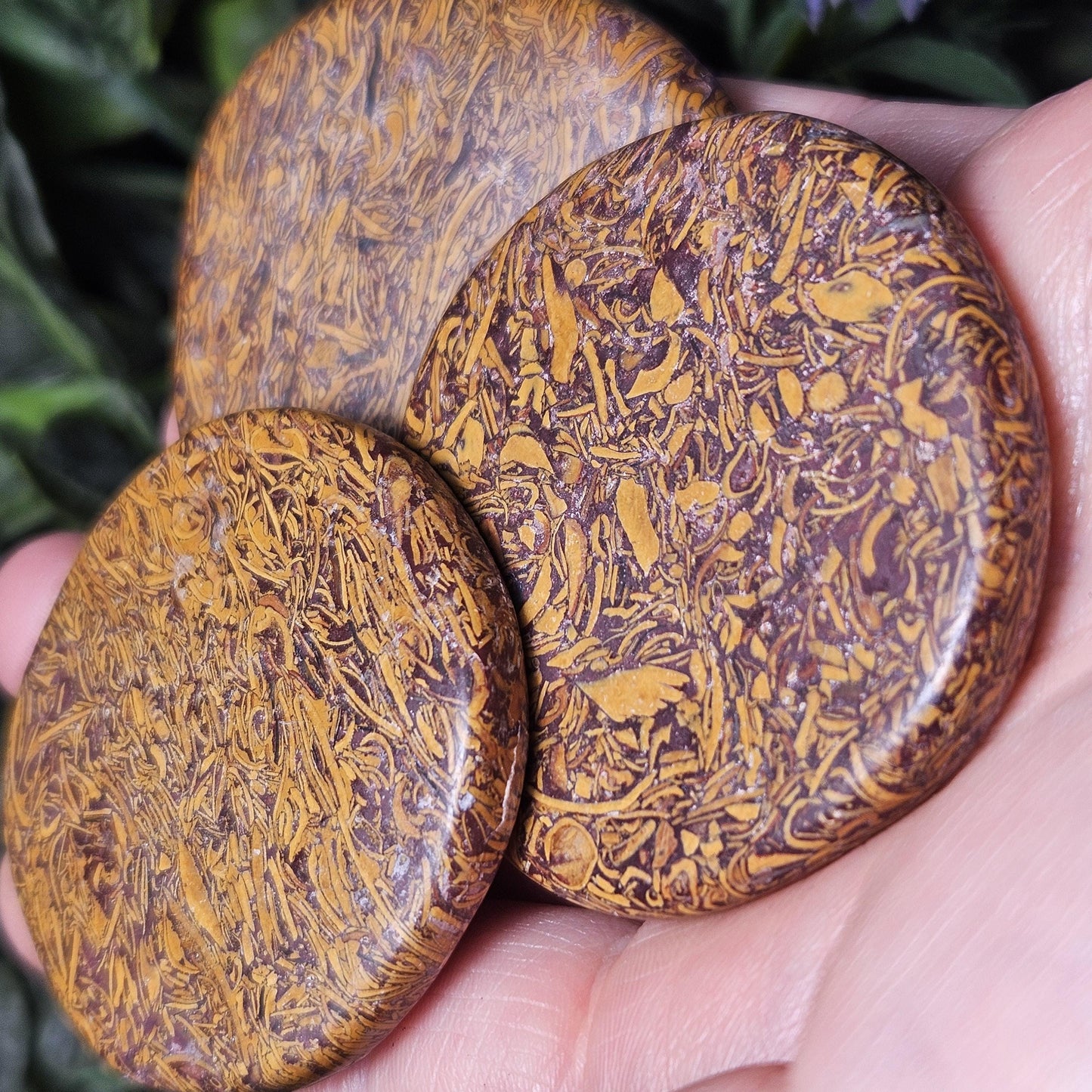 Calligraphy Stone Specimen (1.75"+), Miriam Jasper Palm Stone