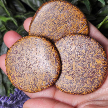 Calligraphy Stone Specimen (1.75"+), Miriam Jasper Palm Stone