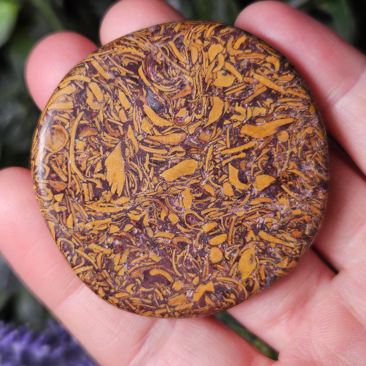 Calligraphy Stone Specimen (1.75"+), Miriam Jasper Palm Stone