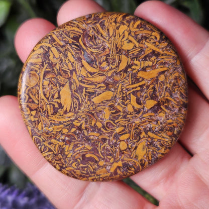 Calligraphy Stone Specimen (1.75"+), Miriam Jasper Palm Stone