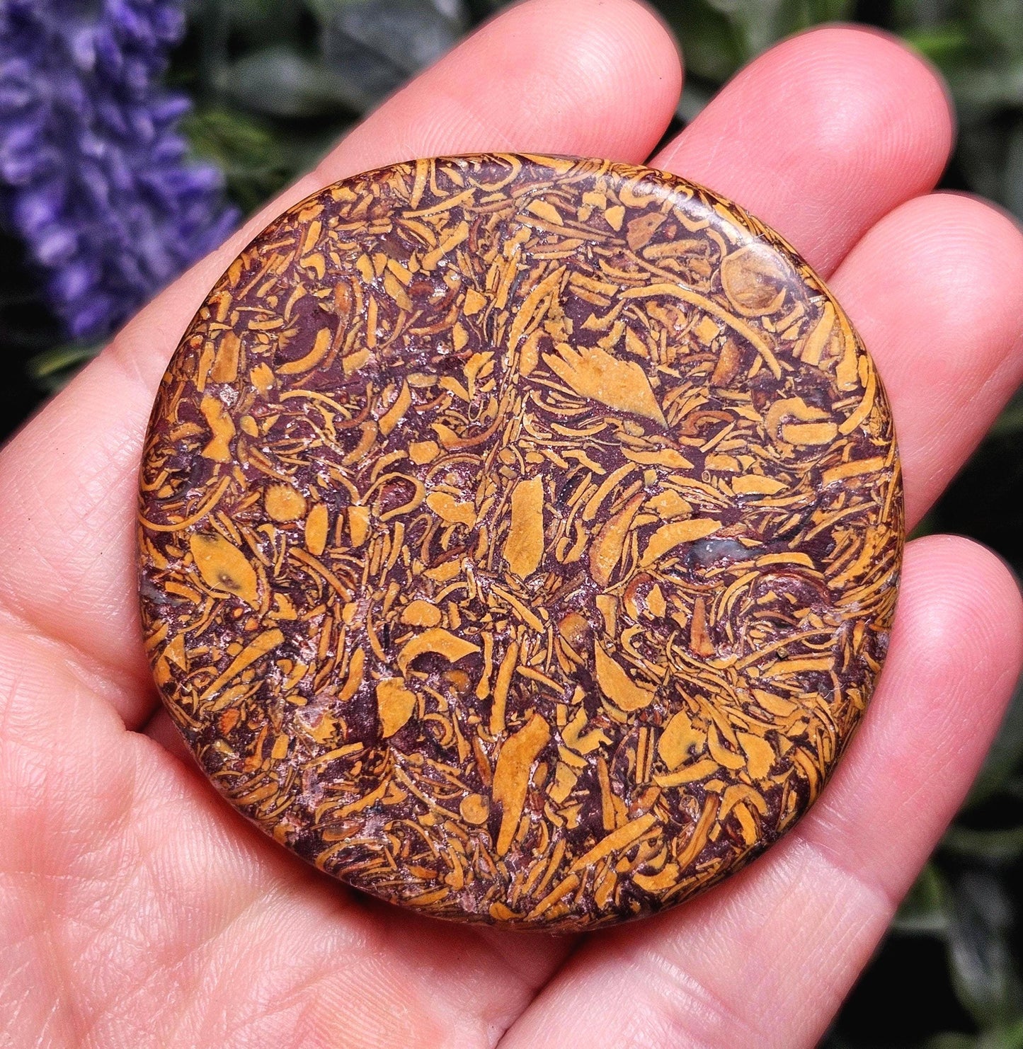 Calligraphy Stone Specimen (1.75"+), Miriam Jasper Palm Stone