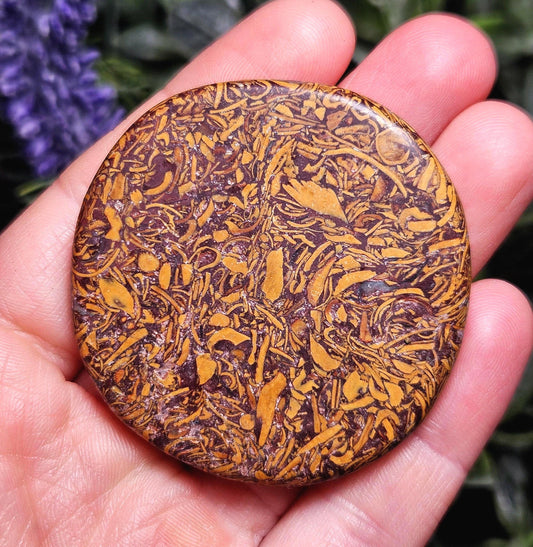Calligraphy Stone Specimen (1.75"+), Miriam Jasper Palm Stone
