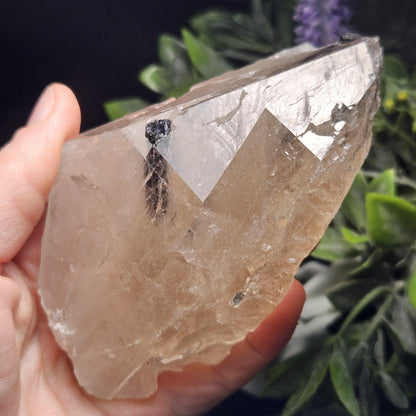Green & Black Tourmaline in Quartz Crystal 344g, Brazilian Quartz with Tourmaline, Green Tourmaline Specimen, Tourmaline Crystal