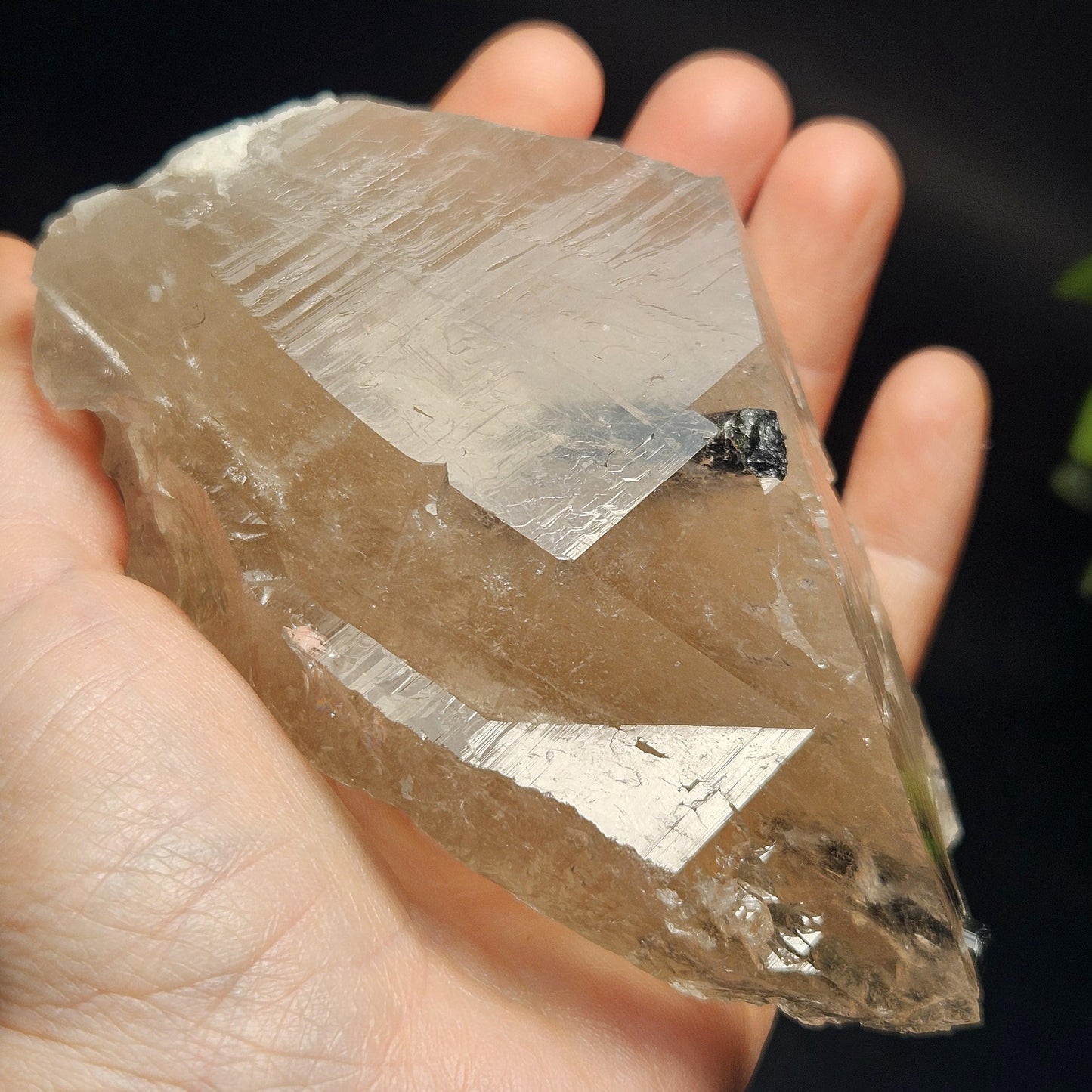 Green & Black Tourmaline in Quartz Crystal 344g, Brazilian Quartz with Tourmaline, Green Tourmaline Specimen, Tourmaline Crystal
