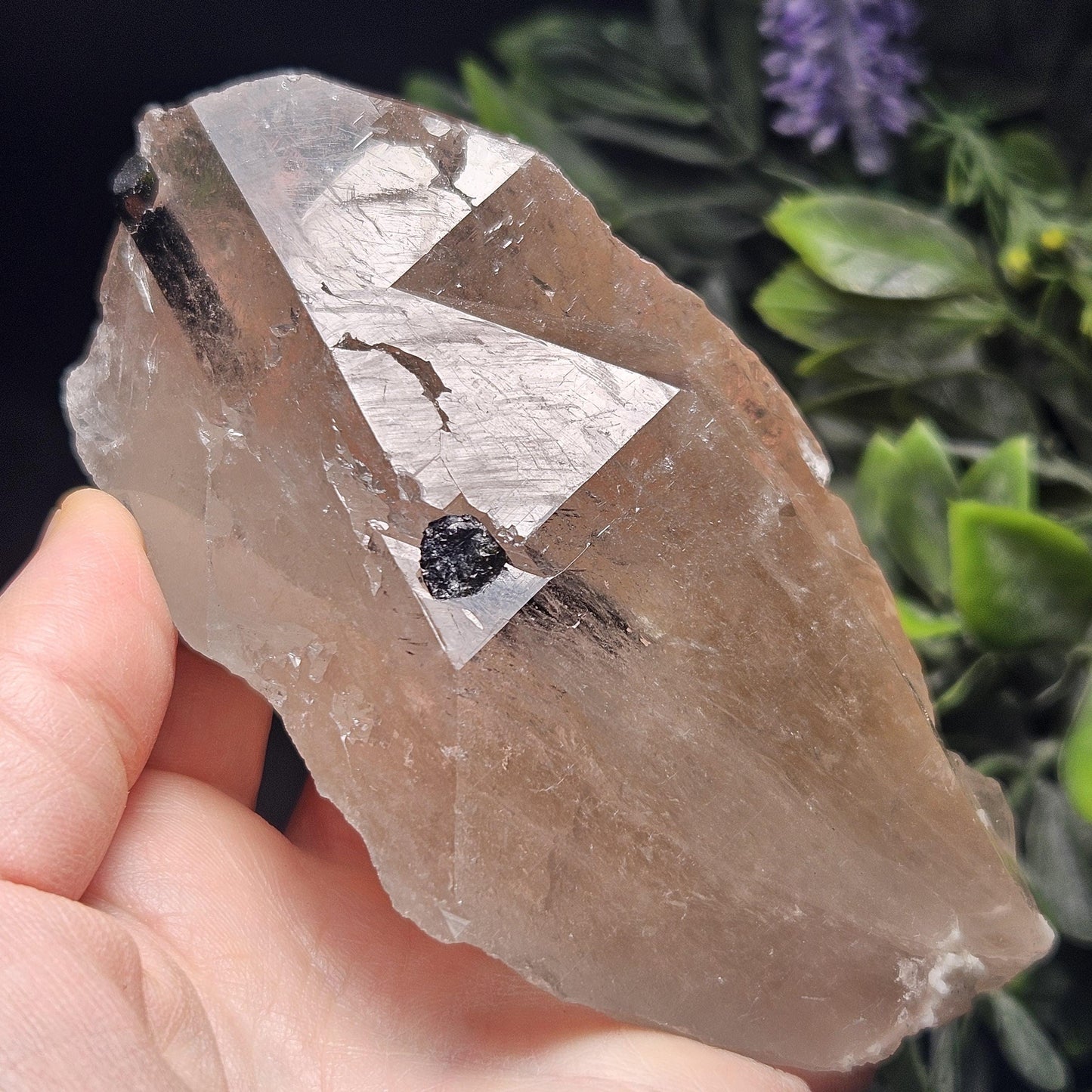 Green & Black Tourmaline in Quartz Crystal 344g, Brazilian Quartz with Tourmaline, Green Tourmaline Specimen, Tourmaline Crystal
