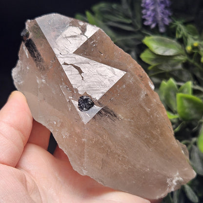 Green & Black Tourmaline in Quartz Crystal 344g, Brazilian Quartz with Tourmaline, Green Tourmaline Specimen, Tourmaline Crystal