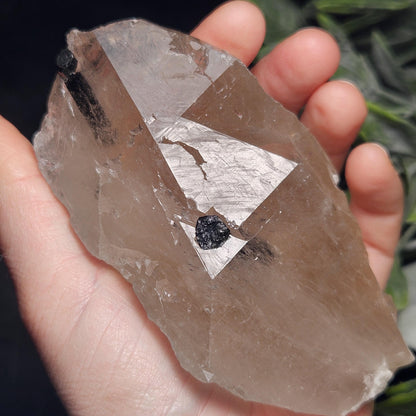 Green & Black Tourmaline in Quartz Crystal 344g, Brazilian Quartz with Tourmaline, Green Tourmaline Specimen, Tourmaline Crystal