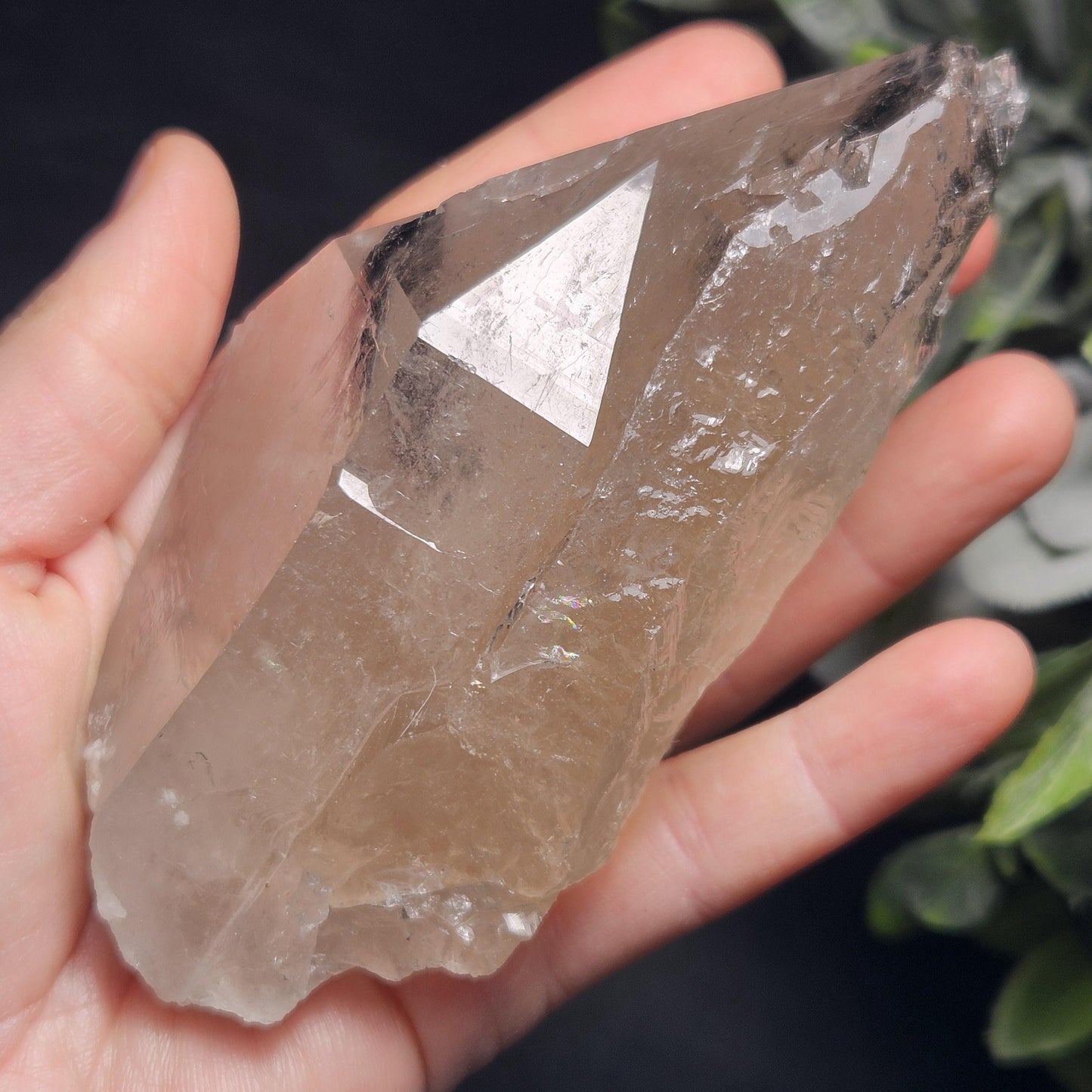 Green & Black Tourmaline in Quartz Crystal 344g, Brazilian Quartz with Tourmaline, Green Tourmaline Specimen, Tourmaline Crystal