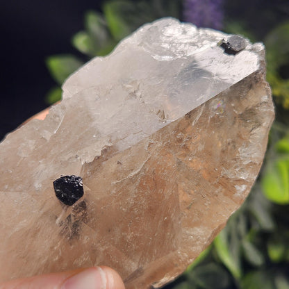 Green & Black Tourmaline in Quartz Crystal 344g, Brazilian Quartz with Tourmaline, Green Tourmaline Specimen, Tourmaline Crystal