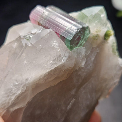 Watermelon Tourmaline on Quartz 166.23g, Terminated Bicolored Brazilian Tourmaline Specimen, Watermelon Tourmaline Crystal, Pink Tourmaline