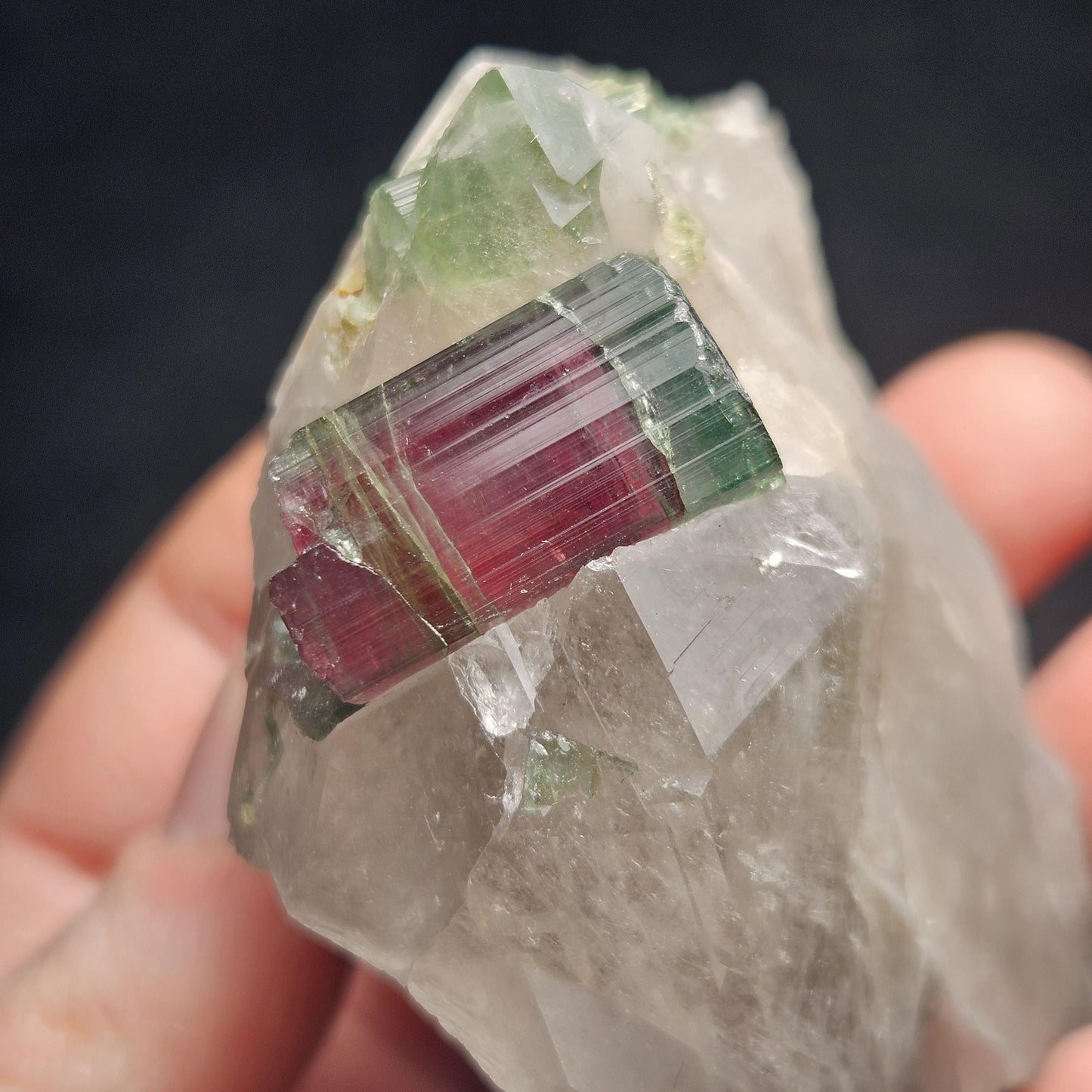 Watermelon Tourmaline on Quartz 166.23g, Terminated Bicolored Brazilian Tourmaline Specimen, Watermelon Tourmaline Crystal, Pink Tourmaline