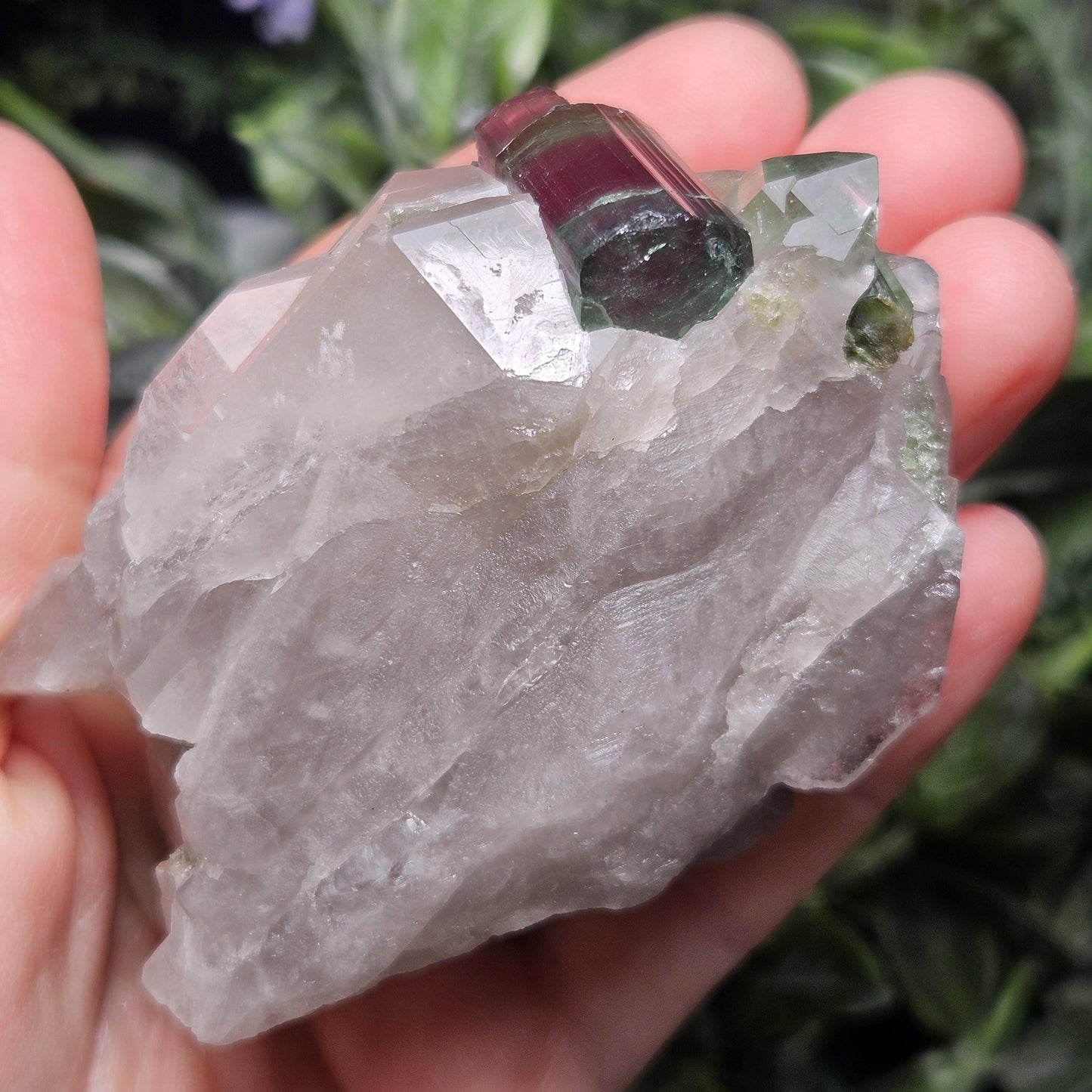 Watermelon Tourmaline on Quartz 166.23g, Terminated Bicolored Brazilian Tourmaline Specimen, Watermelon Tourmaline Crystal, Pink Tourmaline