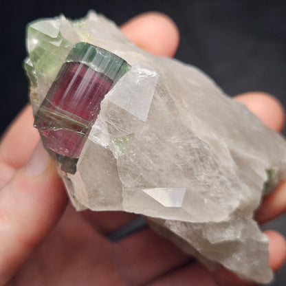 Watermelon Tourmaline on Quartz 166.23g, Terminated Bicolored Brazilian Tourmaline Specimen, Watermelon Tourmaline Crystal, Pink Tourmaline