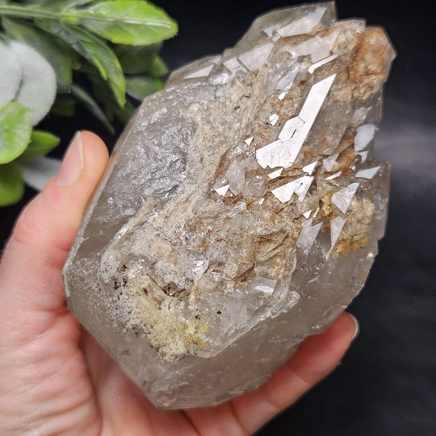 HUGE Elestial Garden Quartz Crystal 1.5lbs