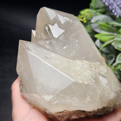 HUGE Elestial Garden Quartz Crystal 1.5lbs