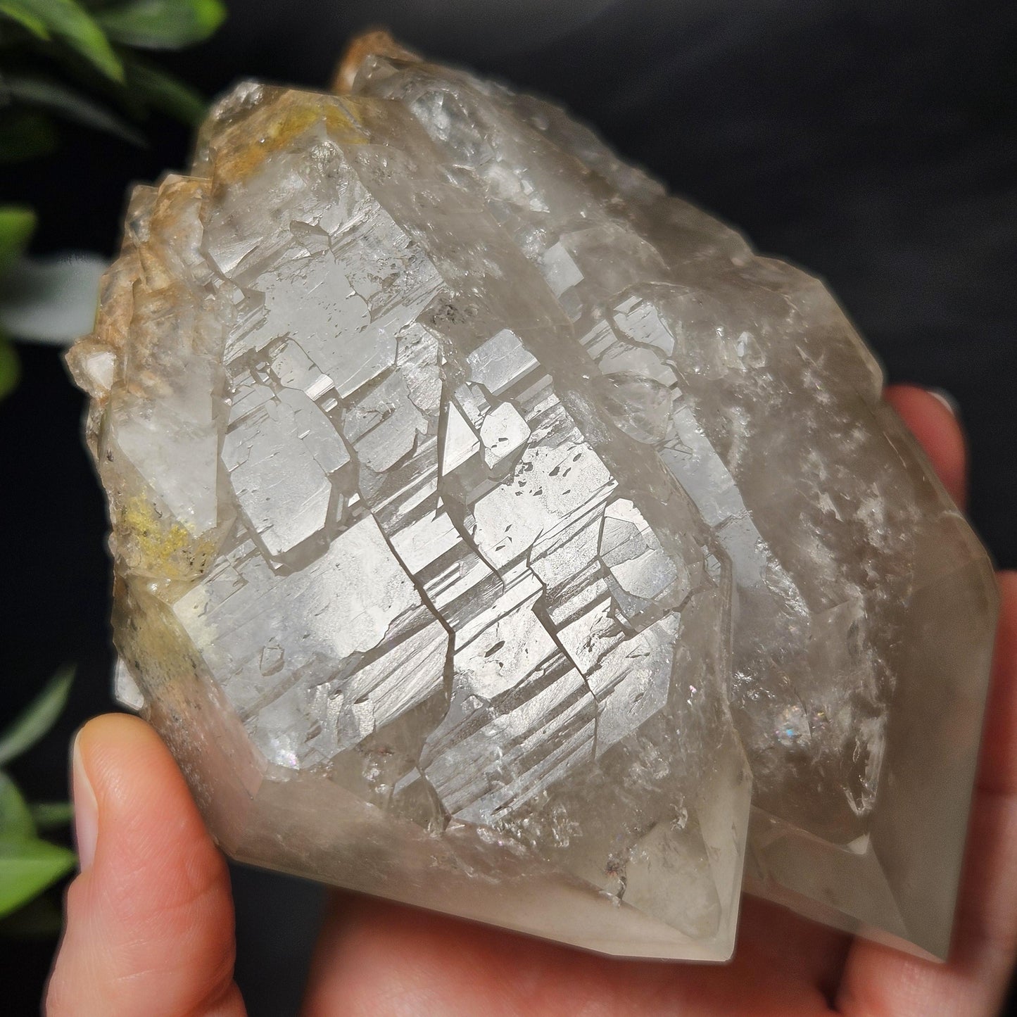 HUGE Elestial Garden Quartz Crystal 1.5lbs