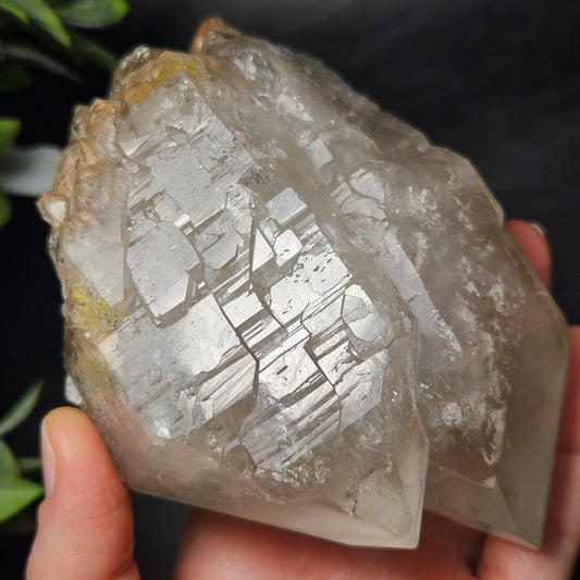 HUGE Elestial Garden Quartz Crystal 1.5lbs