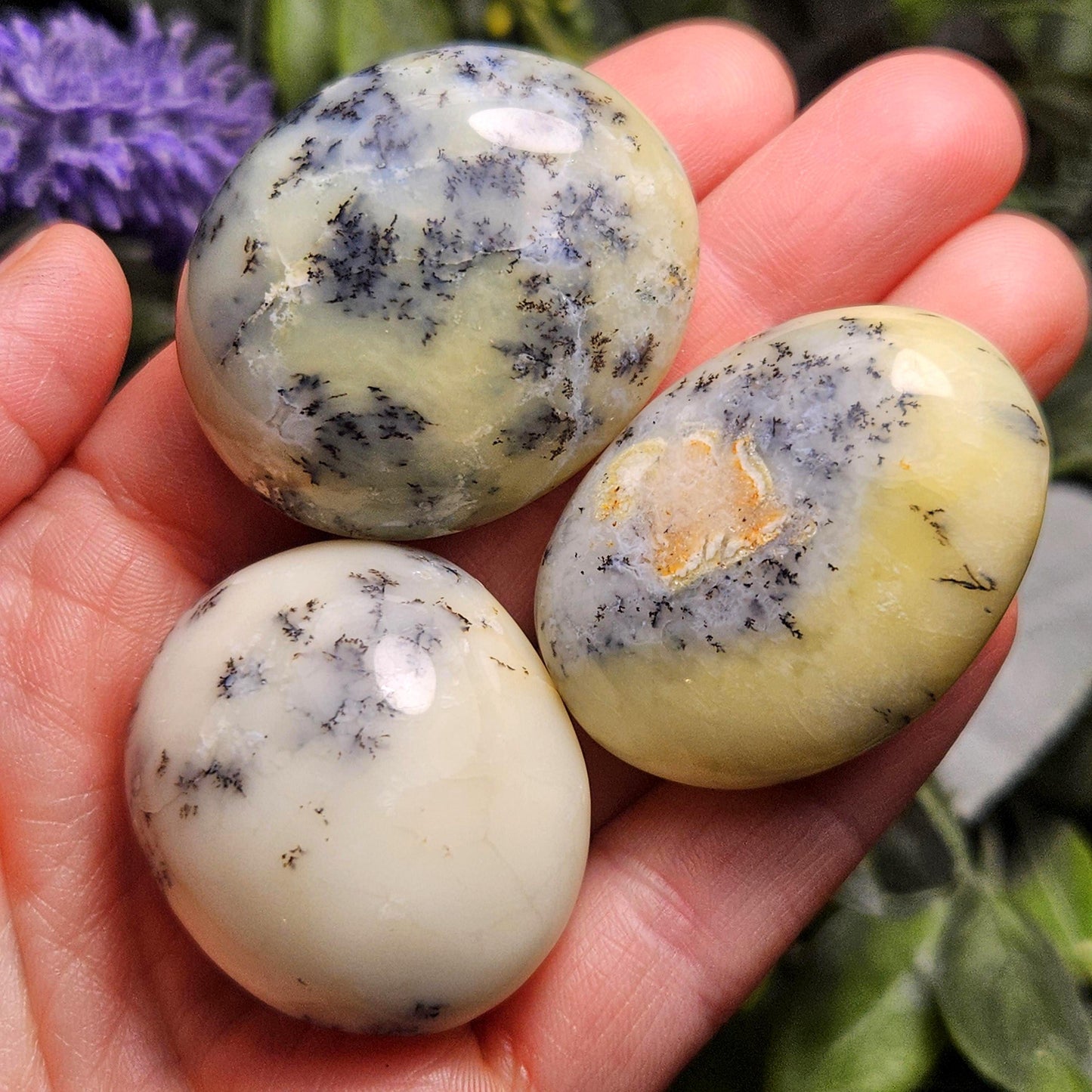 Dendritic Green Opal Palm Stone (1.25"+), Polished Dendritic Opal Crystal