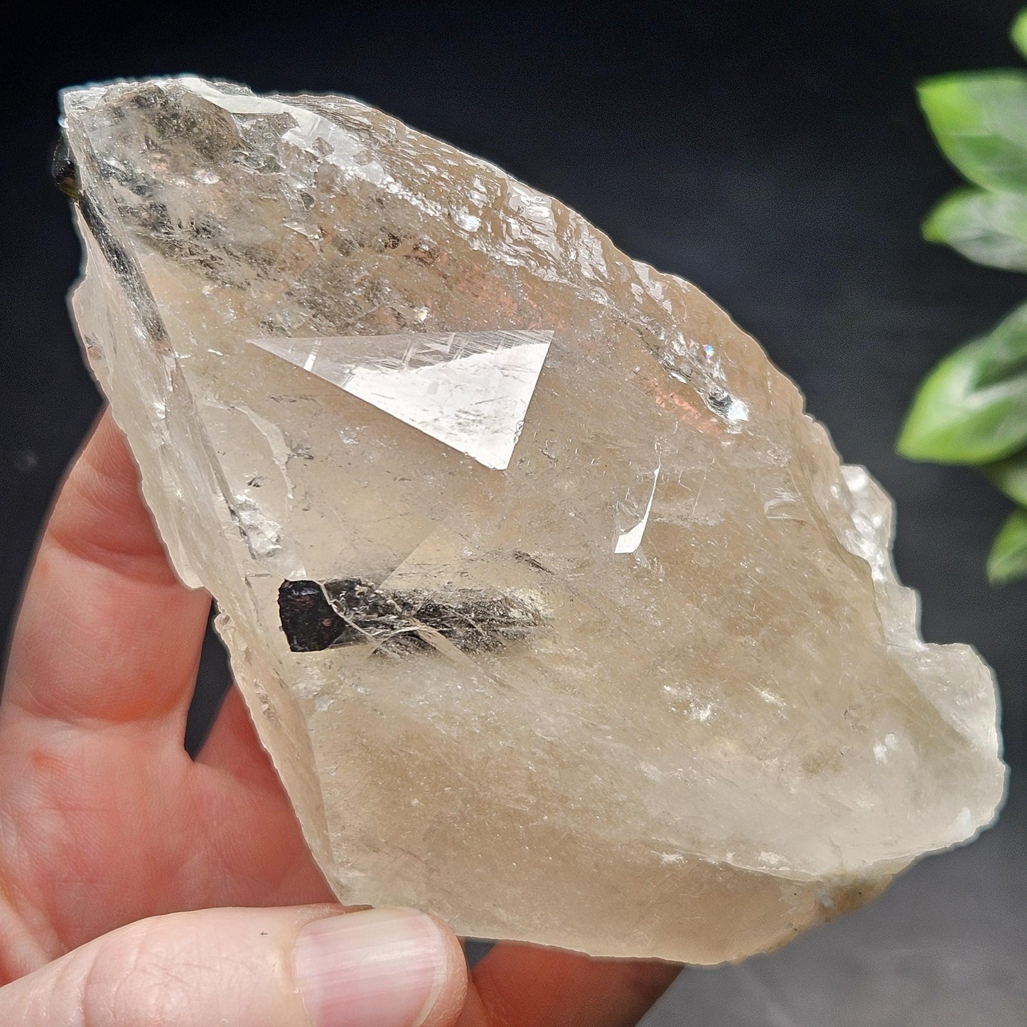 Green & Black Tourmaline in Quartz Crystal 344g, Brazilian Quartz with Tourmaline, Green Tourmaline Specimen, Tourmaline Crystal