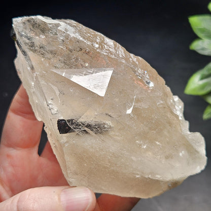 Green & Black Tourmaline in Quartz Crystal 344g, Brazilian Quartz with Tourmaline, Green Tourmaline Specimen, Tourmaline Crystal