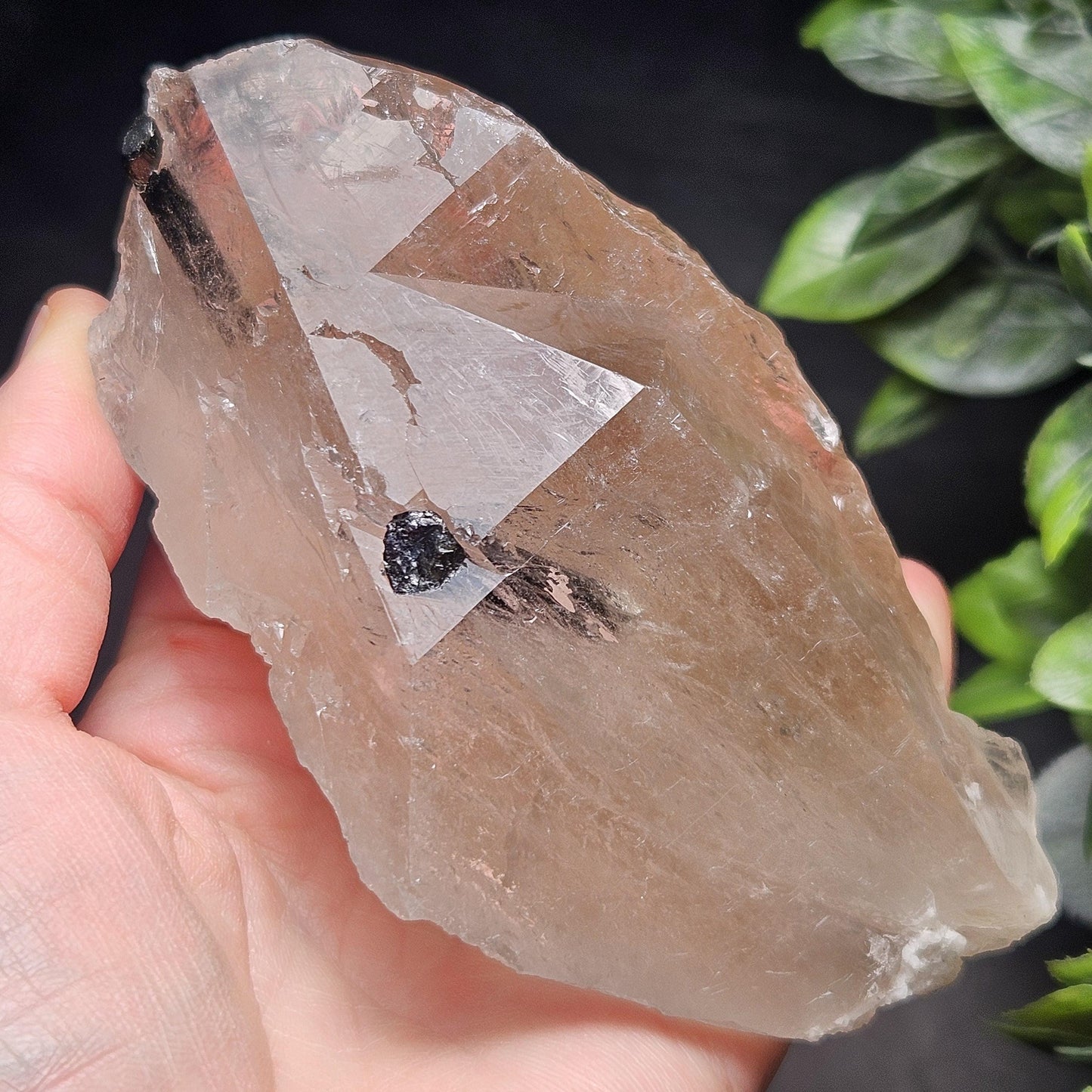 Green & Black Tourmaline in Quartz Crystal 344g, Brazilian Quartz with Tourmaline, Green Tourmaline Specimen, Tourmaline Crystal