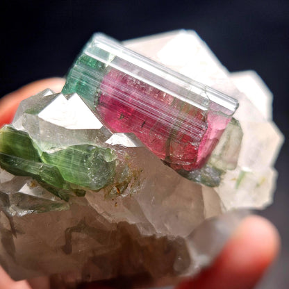 Watermelon Tourmaline on Quartz 166.23g, Terminated Bicolored Brazilian Tourmaline Specimen, Watermelon Tourmaline Crystal, Pink Tourmaline