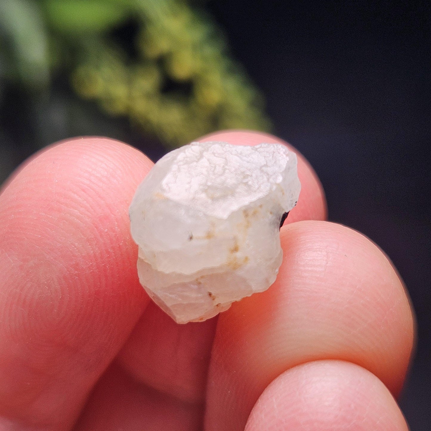 Phenacite Crystal with Black Tourmaline 9.30ct, Terminated Phenacite Specimen, Nigerian Phenakite Crystal