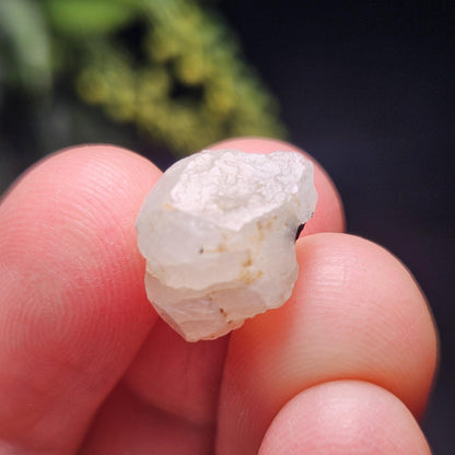 Phenacite Crystal with Black Tourmaline 9.30ct, Terminated Phenacite Specimen, Nigerian Phenakite Crystal