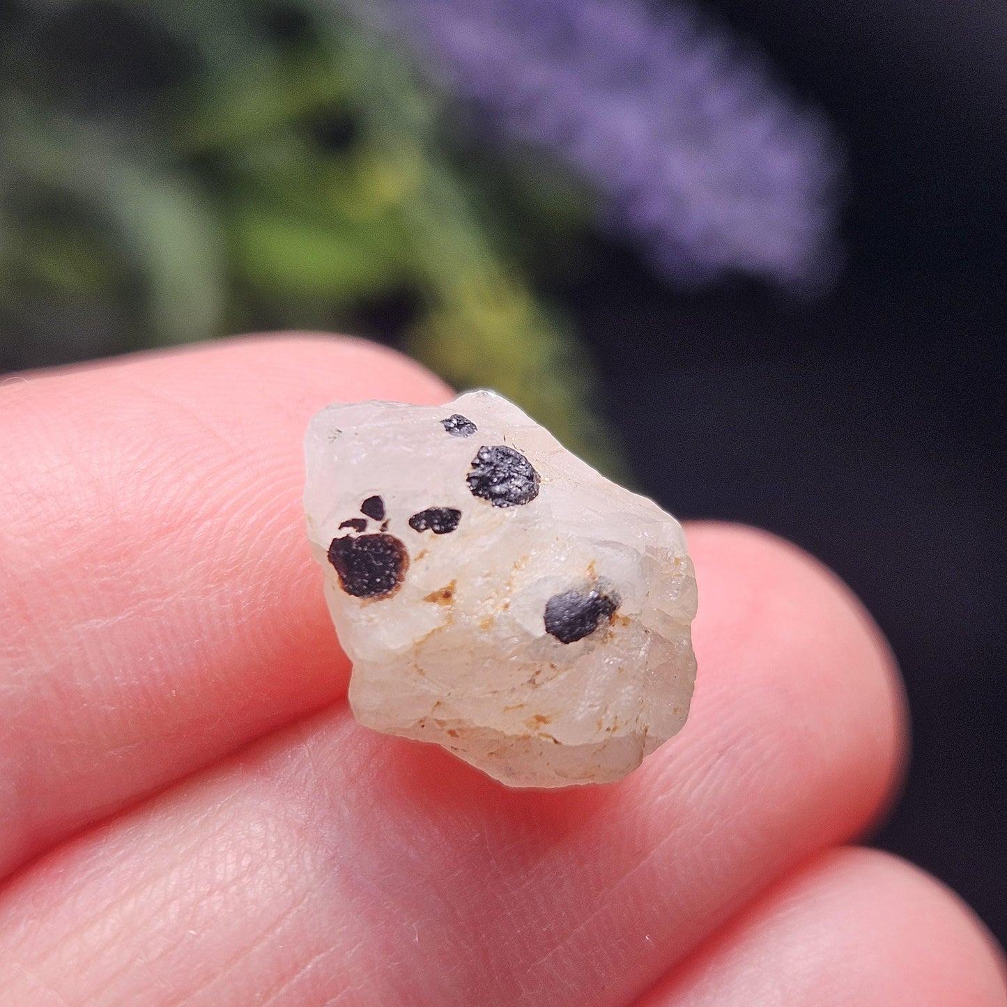 Phenacite Crystal with Black Tourmaline 9.30ct, Terminated Phenacite Specimen, Nigerian Phenakite Crystal