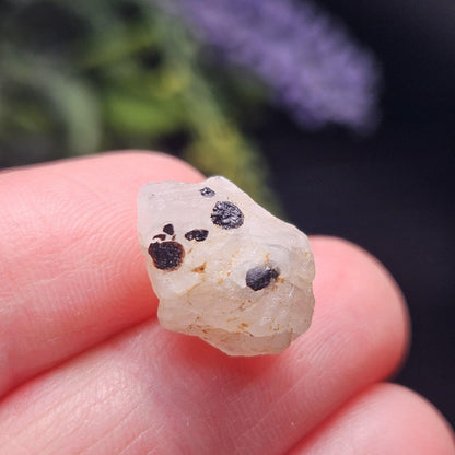 Phenacite Crystal with Black Tourmaline 9.30ct, Terminated Phenacite Specimen, Nigerian Phenakite Crystal