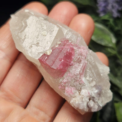 Pink Tourmaline in Quartz from Brazil 52.64g, Raw Brazilian Tourmaline Specimen, Pink Tourmaline Crystal