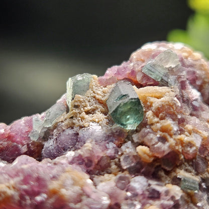 Blue Tourmaline on Lepidolite on Cleavelandite from Brazil 211g, Raw Brazilian Tourmaline Specimen, Lepidolite Crystal