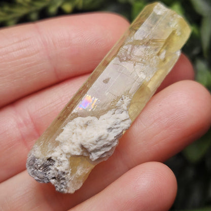 Terminated Heliodor Crystal 12.71g, Rainbow Inclusion, AAA Golden Beryl