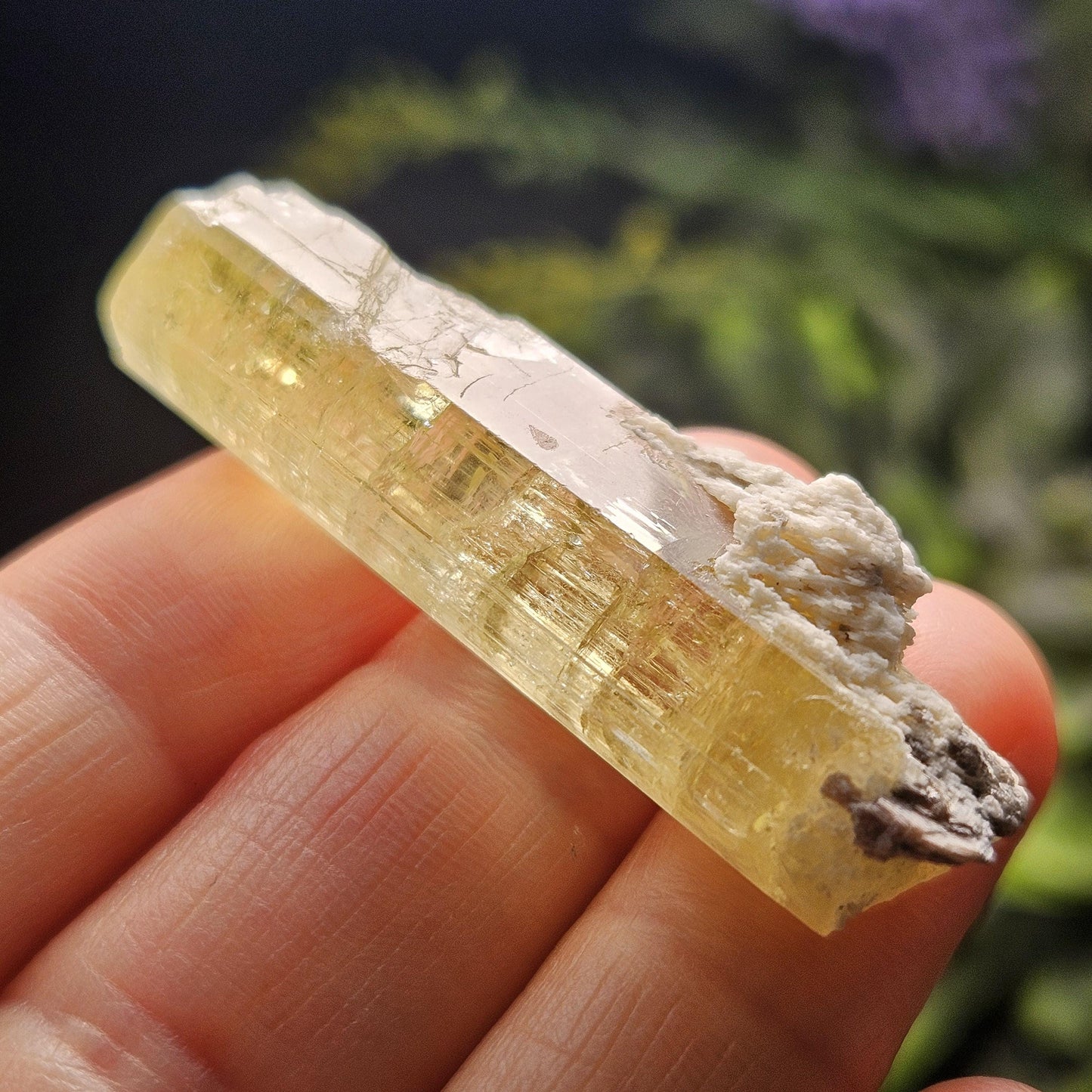 Terminated Heliodor Crystal 12.71g, Rainbow Inclusion, AAA Golden Beryl