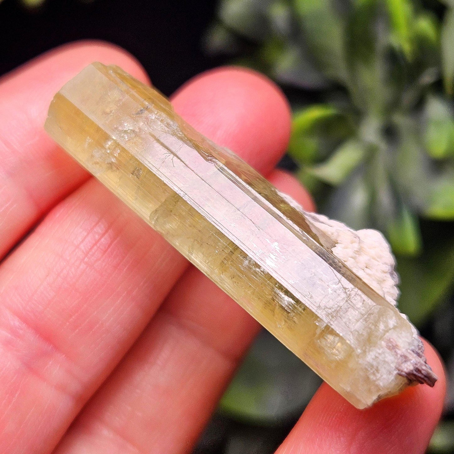 Terminated Heliodor Crystal 12.71g, Rainbow Inclusion, AAA Golden Beryl