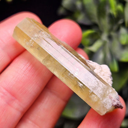 Terminated Heliodor Crystal 12.71g, Rainbow Inclusion, AAA Golden Beryl