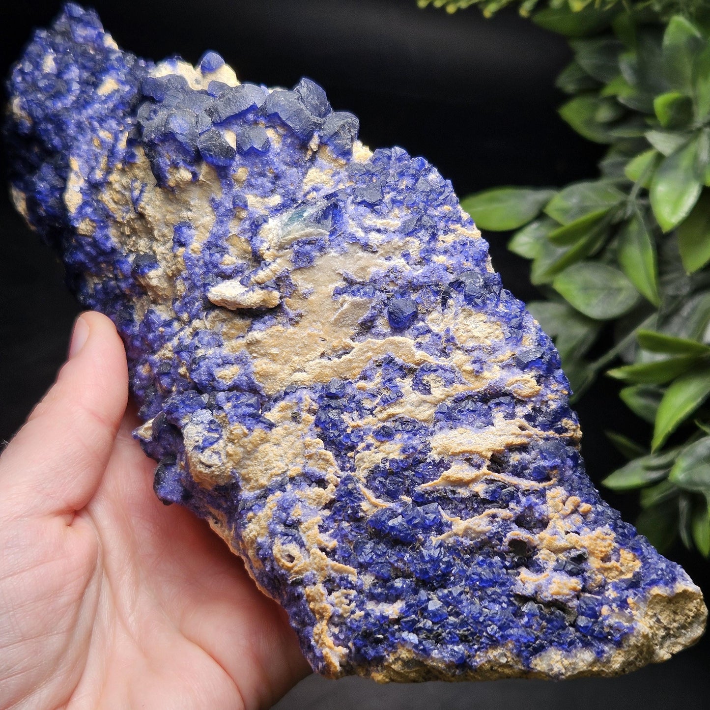 Blue Fluorite Crystal Cluster 1.37 lbs, "Blueberry" Fluorite Crystal Specimen
