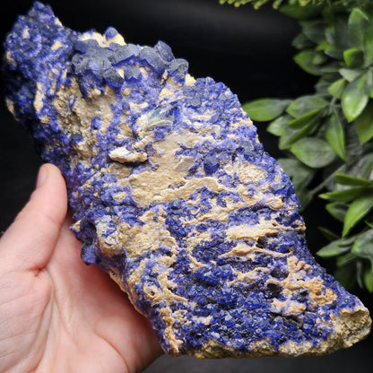 Blue Fluorite Crystal Cluster 1.37 lbs, "Blueberry" Fluorite Crystal Specimen