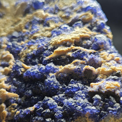 Blue Fluorite Crystal Cluster 1.37 lbs, "Blueberry" Fluorite Crystal Specimen