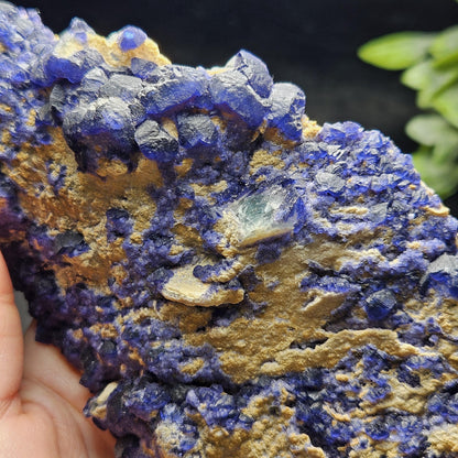 Blue Fluorite Crystal Cluster 1.37 lbs, "Blueberry" Fluorite Crystal Specimen