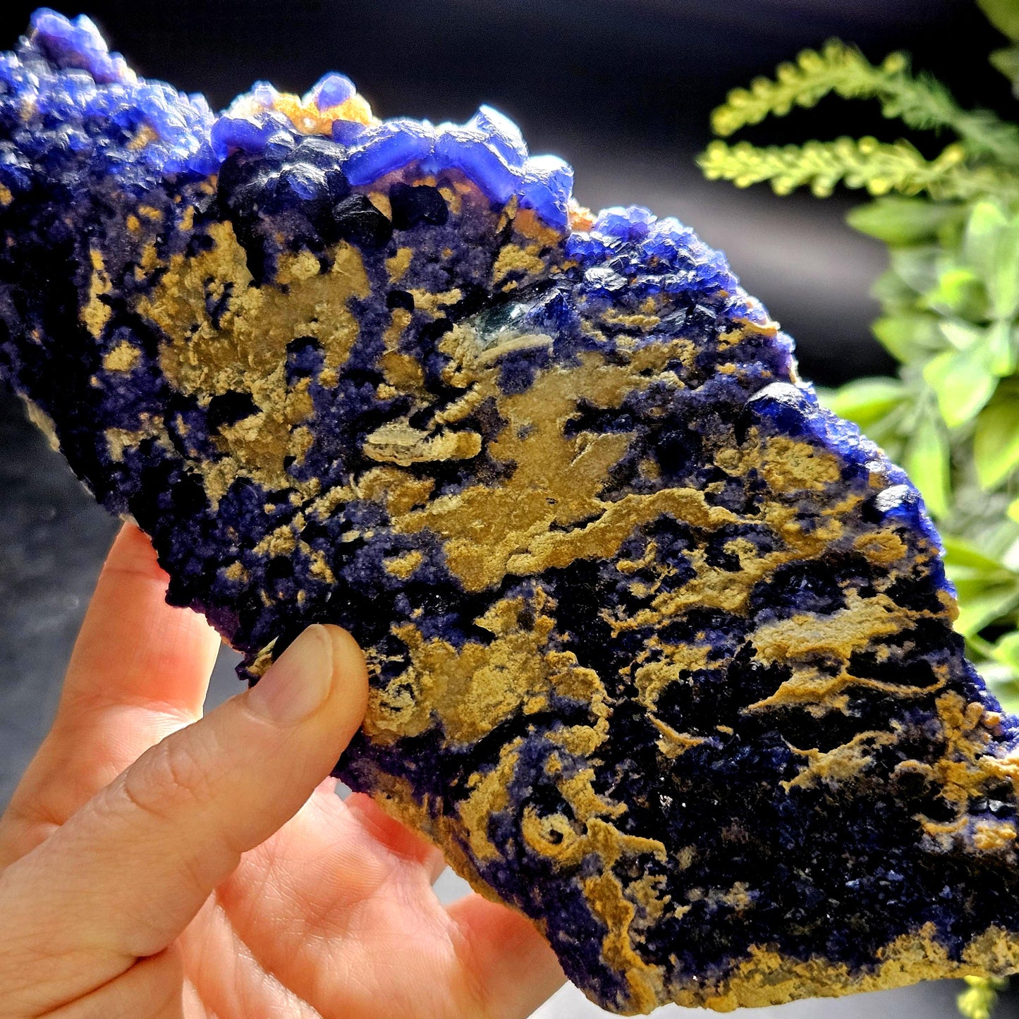 Blue Fluorite Crystal Cluster 1.37 lbs, "Blueberry" Fluorite Crystal Specimen