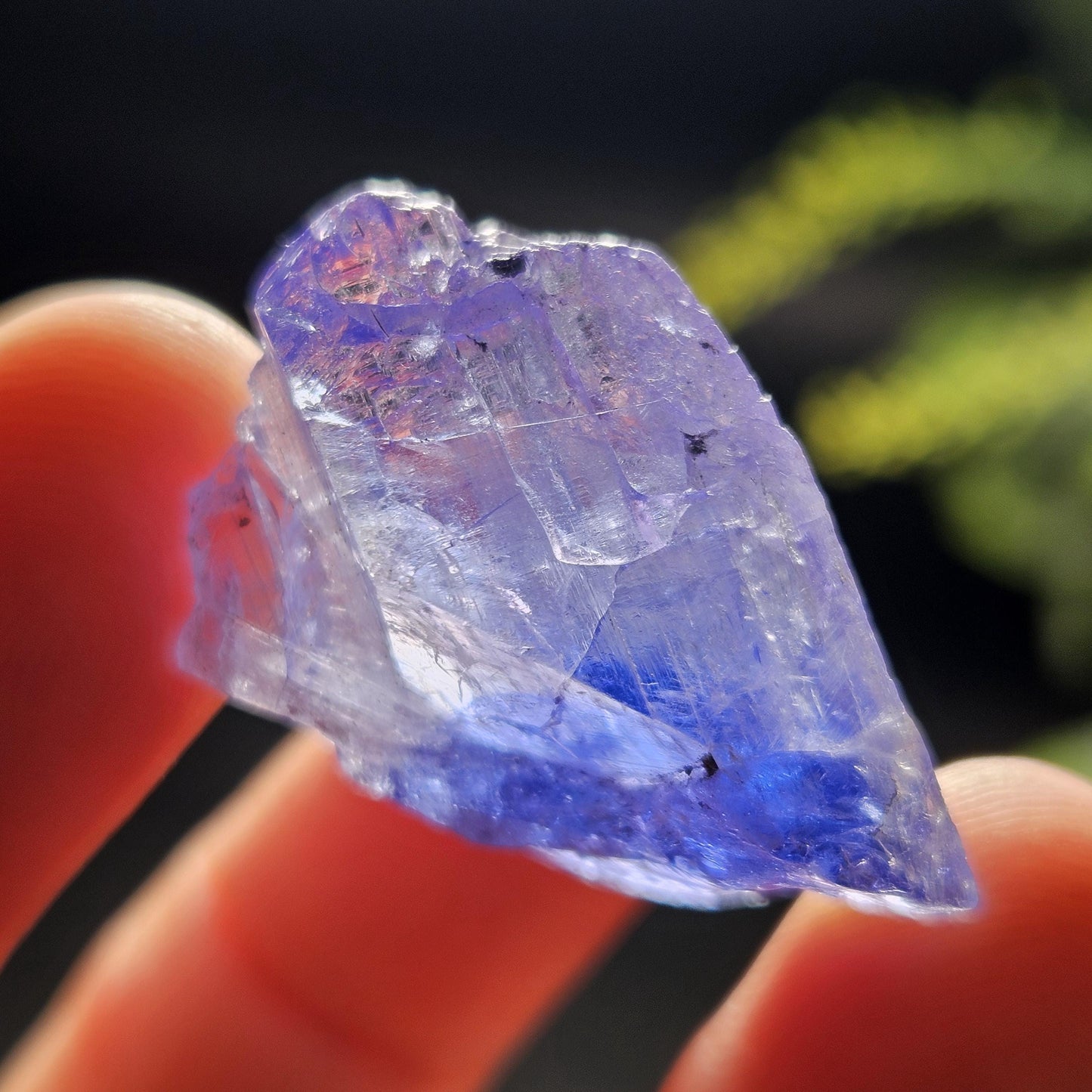 Tanzanite Crystal 7.65g, Etched Bicolor Tanzanite Gemstone, Tanzanite Crystal, Blue Purple Terminated Tanzanite