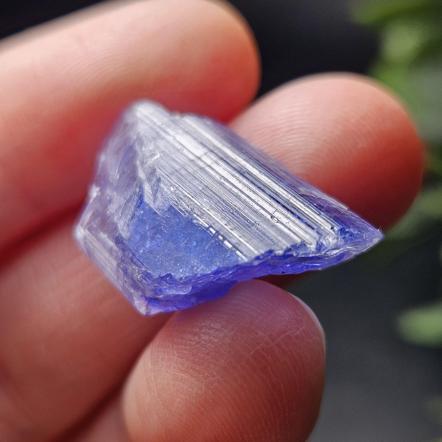 Tanzanite Terminated Crystal 4.69g, Bi Color Raw Tanzanite Gemstone